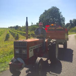 Maisons de vacances Au Coeur des Vignes : photos des chambres