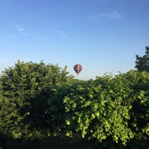 Maisons de vacances Au Coeur des Vignes : photos des chambres