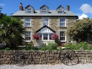 Pengelly Farmhouse B&B - Mitchell