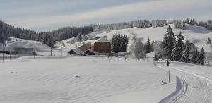 L étincelle du Manon