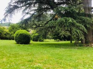 Domaine des Ondes