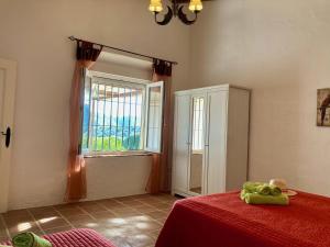 Villa Las Ranas