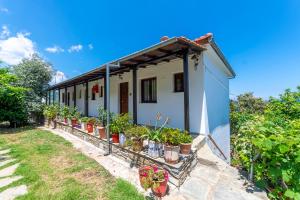 Katerina Fotopoulos Rooms & Apartments Pelion Greece