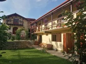 CASA NIRVANA - فيرزاسكا