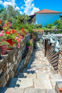 Katerina Fotopoulos Rooms & Apartments Pelion Greece