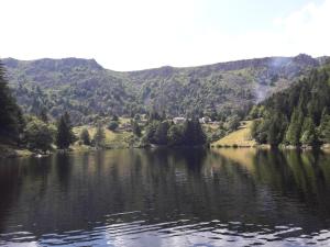 Maisons de vacances MUNSTER camping de la FECHT : photos des chambres