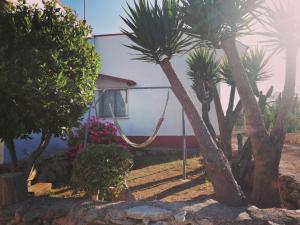Villino Mediterranea - tra ulivi e mare by My Home Apulia
