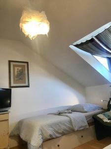 Apartmán Slovinská 28