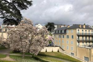 Appartements Magnolia : Superbe deux-pieces quartier du Chateau : photos des chambres