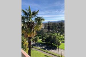 Appartements Magnolia : Superbe deux-pieces quartier du Chateau : photos des chambres