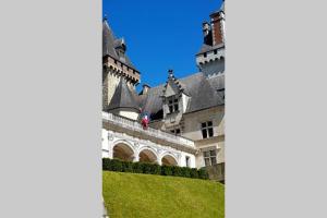 Appartements Magnolia : Superbe deux-pieces quartier du Chateau : photos des chambres