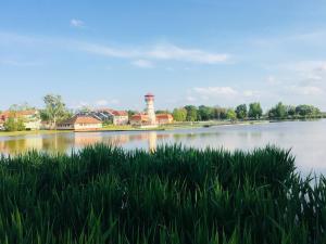 Happy Mammy Bababarát Apartmanház 1 - Hűvös utca