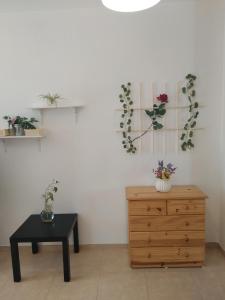 Apartamento Grande Centrico