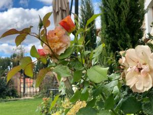 El Cuartel del Rio Dulce