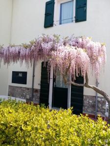 Agriturismo Ca Castellani