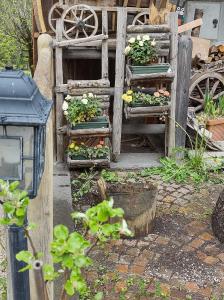 Cianbolpin Guesthouse