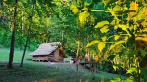 Kolibe - Robinson camp Kupa - Piščetke