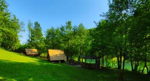 Kolibe - Robinson camp Kupa