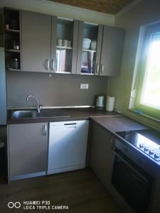 Guesthouse Viktorija Flat - Premium apartment