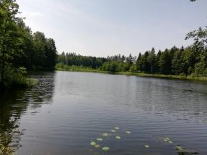 Apartament Zosia