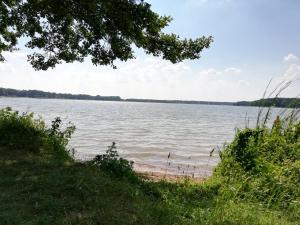 Apartament Zosia