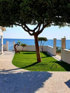 Mbaccimari B&B