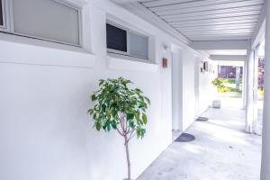 Comfort Inn Towradgi Beach