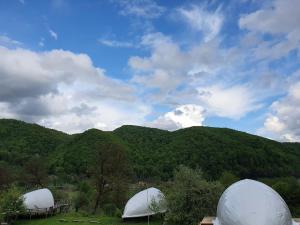 Sunrise Glamping Retreat