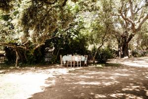 Agriturismo Casteddu img3