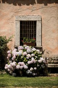 Agriturismo Casteddu img7