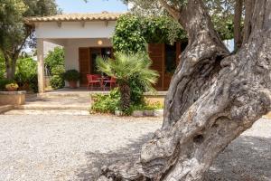 Villa La Vinya Can Oliver - Oliver