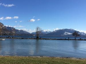 Appartements LES RIVES DU FIER T3 velos bienvenus CALME Jardin cloture ANNECY LAC a qq min : photos des chambres
