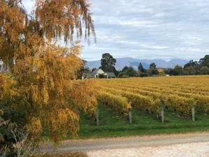 Vineyard Cottage in Blenheim on the Golden Mile - Kaituna