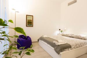 Queen of Brera - San Marco 1