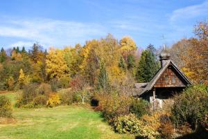 Ferienwohnungen Bauer - Auszeit mit Ausblick
