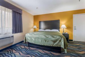 Standard Queen Room - Non Smoking room in Rodeway Inn