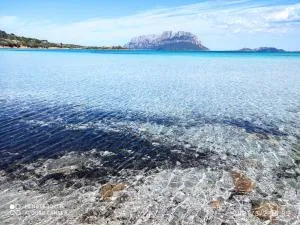 bilocale Murta Maria vacanze - Trudda