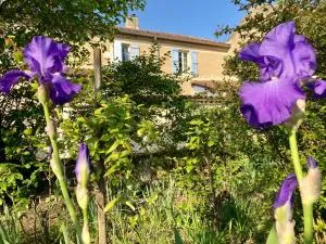 Le Petit Cochon - Cassaigne