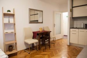 Studio Apartment Vijenac