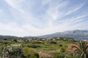 Apartment in Lumbarda with Seaview, Balcony, WIFI, Washing machine (4432-2)