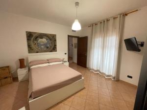 Living Tortoli img14