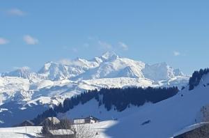 Appartements studio cabine Praz de Lys : photos des chambres