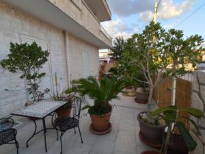 Ulivi di Minerva - Boutique Holiday Home - Ostuni - Fasano - Cisternino