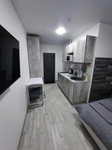 Посуточно мини-студия метро Минская Киев