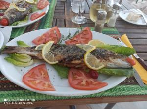 Christina Hotel Corfu Greece