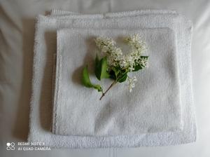 Agroturystyka