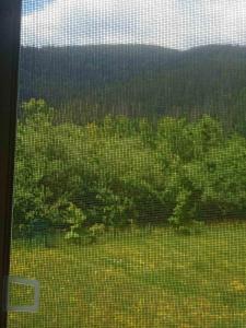 Green House 2 уч ФАЛЬЧІ ВУЛ ПЕРШОГО ТРАВНЯ БУД 5