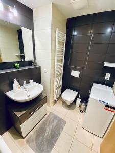 Medvědín Apartmán 106