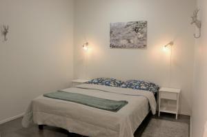 Lapland Happiness Skistar 113