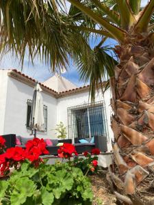 Casa Soleada Holiday Fully private Villa